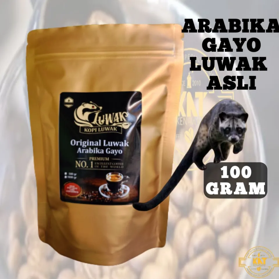 KOPI LUWAK LIAR GAYO ACEH ASLI ARABIKA PREMIUM 100gram BUBUK DAN BIJI TER  MURAH MINUMAN KHAS ACEH. | Lazada Indonesia