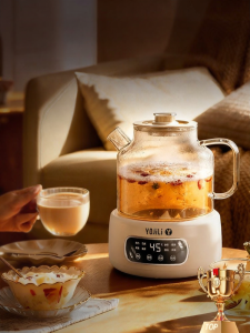 [China Plug Adapter Needed] YOJILI | Temperature Constant Multifunction Health Pot