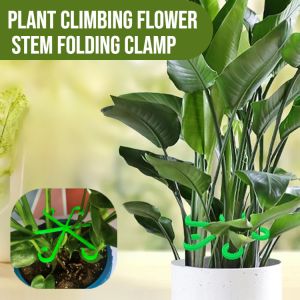 Plant Climbing Flower Stem Folding Clamp Plant Clips Plastic Support Reusable Grafting Fixing Tool
