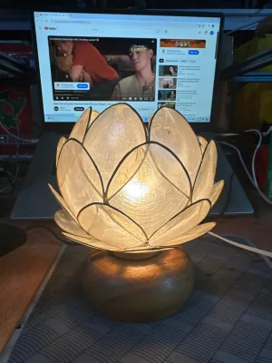 Capiz Lampshade Cabbage free bulb w/ laser engraved