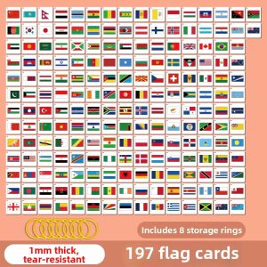 World Flags Educational Flashcards