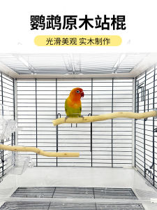 Parrot Dragon Wood Stand Rod Bird Stand Rod Pure Natural Grinding Claw Stand Stick Parrot Branch Stand Rod Solid Wood Stand Rod Bird Cage Accessories