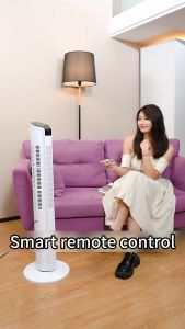 Inverter Tower Fan With Remote Control LED Display: A Silent Home Office Solution