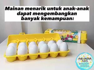 Mainan Mencocokan Telur / Egg Matching / Mainan Terapi Motorik Halus / Mainan Montessori Anak Balita