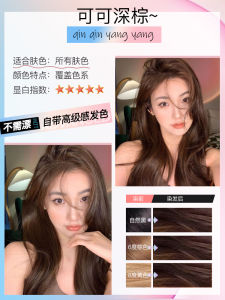 ColorNow Hair Dyeing Paste Home Use Black Tea Grey Mist Coffee Brown Honey Tea Cold Brown Hair Coloring Permanent Hair Dye