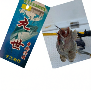 KAIXINYU | Multi-use Sea Fishing Hooks