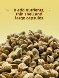 VOA | Parrot Food Bird Feed Snack Reward Training Food