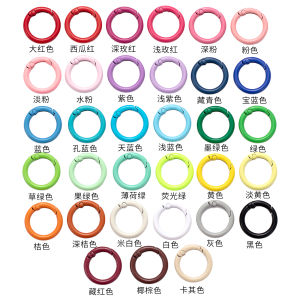 Colorful Baked Paint Quick Hang Spring Ring Buckle Exquisite Key Ring Car Key Circle Bag Hanging Buckle Diy Making