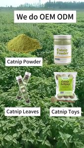 10PCS Catnip catmint kucing snack mint powder snack hewan peliharaan kucing pelengkapan