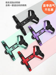 Breathable Two-Piece Dog Chest Harness Leash Summer Anti-Escape Durable Polyester Material for Small to Medium Dogs Walking