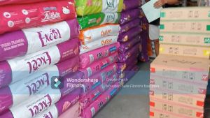 Makanan Kucing Bolt 20kg: Nutrisi Seimbang untuk Kucing Dewasa