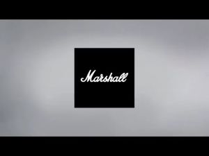 Marshall MARSHALL FRIDGE hotel apartment bar water bar cosmetic mask refrigerated