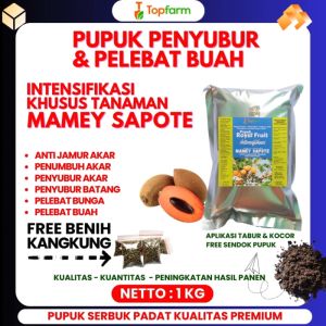 Pupuk Buah Mamey Sapote / Pupuk Buah Mamey Sapote Super Lebat / Pupuk Buah Mamey Sapote Super Lebat / Pupuk Khusus Buah Mamey Sapote