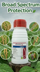 [BUY 1 GET 1] Combo ALIKA 247 ZC + AMISTAR TOP 325SC - Combo Effective Pest & Disease Control for Crop