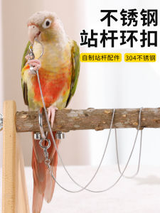 Stainless Steel Parrot Stand Ring Bird Station Frame Limit Nail Fixed Ring Accessory Kit Universal for All Types of Birds