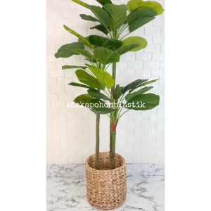 Pohon Hias Artificial Daun Apel T100 Latex Artificial Cover Eceng Gondok Hiasan Cafe Hiasan Ruang Tamu
