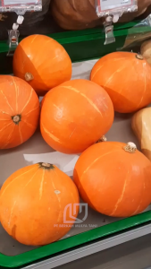 Benih Waluh F1 Bibit Labu Kabocha Jepang Asli Oren Orange Golden Mama 35 10g