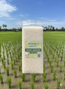 ข้าวหอมมะลิชัยภูมิแท้ 100%