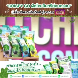 Crispy GO เซต 6 ซอง ผักโขมอินทรีย์อบกรอบ  คละรส