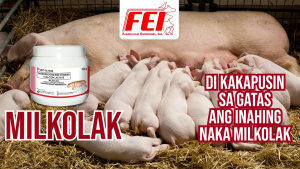 MILKOLAK 100g (Thyroprotein + Calcium Lactate + Vitamin A & B) for animals