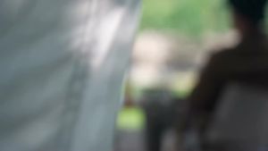 Shangbajia （Suncojia）  Outdoor Stainless Steel Barbecue Grill   Portable Foldable BBQ Grill   Charcoal Grill   Carbon Oven   Barbecue grill