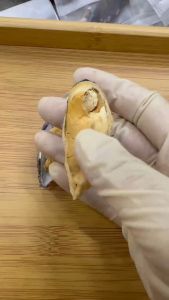 [SEAFOOD] Freeze-Dried New Zealand Green Lipped Mussels for Pet | 冻干宠物青口贝