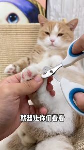 KÉO CẮT MÓNG 2 LỖ CHO MÈO THÚ CƯNG NHỎ CHẤT NHỰA TỐT SIÊU TIỆN LỢI (Màu giao ngẫu nhiên)