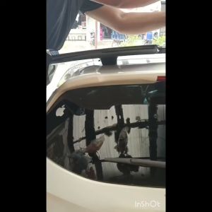 Spoiler All New BRIO MODEL URBANITE