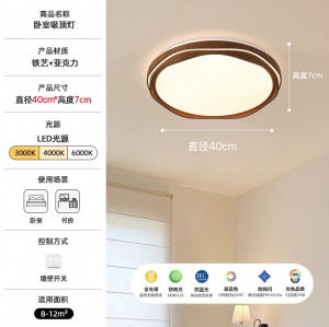 โคมไฟติดฝ้าสีน้ำพุ่มรูปวงกลมระบายแสงแบบครบวงจรสำหรับห้องนอนสไตล์ย้อนยุค สัมผัสความหรูหรา อุปกรณ์ตกแต่งภายในบ้าน