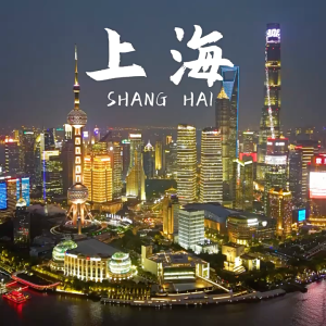 [SG READY STOCK] ZhongJing Shanghai Scallion Oil Noodle Sauce(230g)FragrantSavory & Ready-to-Eat 仲景上海葱油拌面酱 老上海葱油酱 拌面料汁