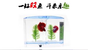 ชุดตู้ปลากัด กล่องแยกปลากัด 2 ช่อง ตู้ปลาพลาสติก กล่องใส่ปลากัด คุณภาพดี พร้อมส่ง