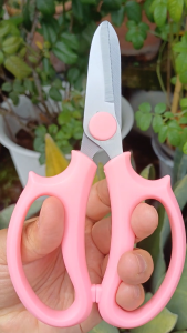 กรรไกรตัดกิ่ง ตัดดอก กรรไกรตัดดอกไม้ กรรไกรจัดช่อดอกไม้ กรรไกรตัดแต่งดอกไม้