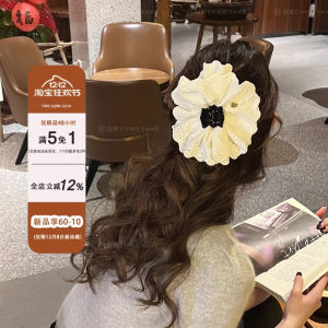 Phụ Kiện Tóc Thanh Lịch Ballet Ins Flat Head Shark Clip Phụ Kiện Tóc Trang Trí Kiểu Dáng Sau Đầu Chất Liệu Khác 40-49.99 Đồ Trang Sức Thời Trang