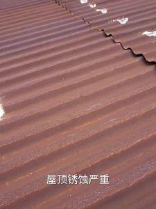 Rust Converter and Stabilizer Steel Roofing Paint Rust Prevention Primer No-Rust-Removal No-Sanding