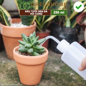 Bình Tưới Cây GreenHome Vòi Cong 250ml Phù Hợp Cho Sen Đá Xương Rồng Tiểu Cảnh Mini Màu Sắc Ngẫu Nhiên