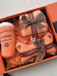 INS Hot Export Original Order Export Luxury Cute Pet Dog Sound Toy Bone Gift Box BB Call