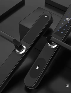 Comes Door Lock Smart Fingerprint Aluminum Household Broken Bridge Doors Narrow Door Sliding Door Lock Fingerprint Lock with App