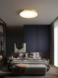 ZHENMEIJU | Modern Simple Warm Romantic LED Ceiling Light