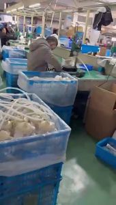 Fuel Pump Module Assembly for Ford F-150 SP2006H LA116232D01