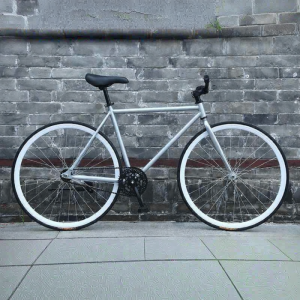 BAQILING | Solid Tire Fixed Gear Modified Reverse Brake Shifting Bicycle