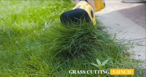 เครื่องตัดหญ้าไฟฟ้า เครื่องตัดแต่งกิ่ง หัวตัดหญ้า หัวตัดแต่งกิ่ง 2อิน1 เครื่องแต่งกิ่งไม้ กรรไกรตัดหญ้าไร้สาย เครื่องตัดแต่งพุ่มไม้ไร้สาย เครื่องตัดกิ่งไม้ไร้สาย เลื่อยตัดแต่งกิ่งสวน เครื่องตัดแต่งพุ่มไม้ไฟฟ้า พุ่มไม้และเล็มหญ้าไร้สาย