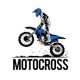 Moto D.A