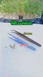 ที่คีบเมล็ด คีบต้นกล้า คีบอเนกประสงค์ จำนวน 1 ชิ้น