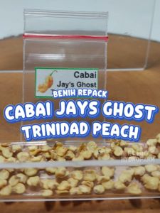 Benih Cabai Jays Ghost Trinidad Peach Unggulan Berkualitas biji bibit repack Capsicum Chinense cabe setan hantu super pedas hydroponik hidroponik tanaman berbiji pot