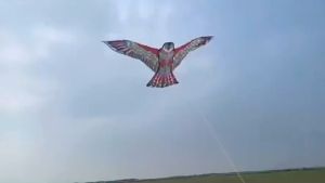 1.2/1.7 M Layangan ELANG Jumbo Lukis Kain Layang Elang Mainan Layangan mainan layang layang Anak Motif Elang Mainan Anak Layangan Parasut Layangan Elang Eagle Kites Layang Layang