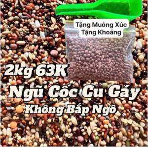 Ngũ cốc chim cu gáy 2KG 63K tặng Muỗng Xúc-Khoáng
