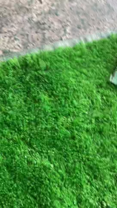 Golf phòng thí nghiệm oz1i HS Putter với trọng lượng nhẹ trục than chì thanh thép mô-men xoắn thấp cao sự Tha Thứ