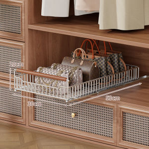 evesigar | Multipurpose Closet Organizer