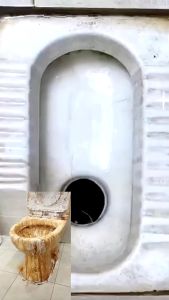 Bathroom Cleaner: A Guide to Toilet Bowl Cleaner, Tile Cleaner & Pine Fragrance Stain Odor Remover