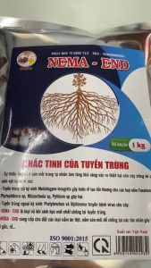 Nấm săn tuyến trùng rễ - NEMA END - gói 1kg